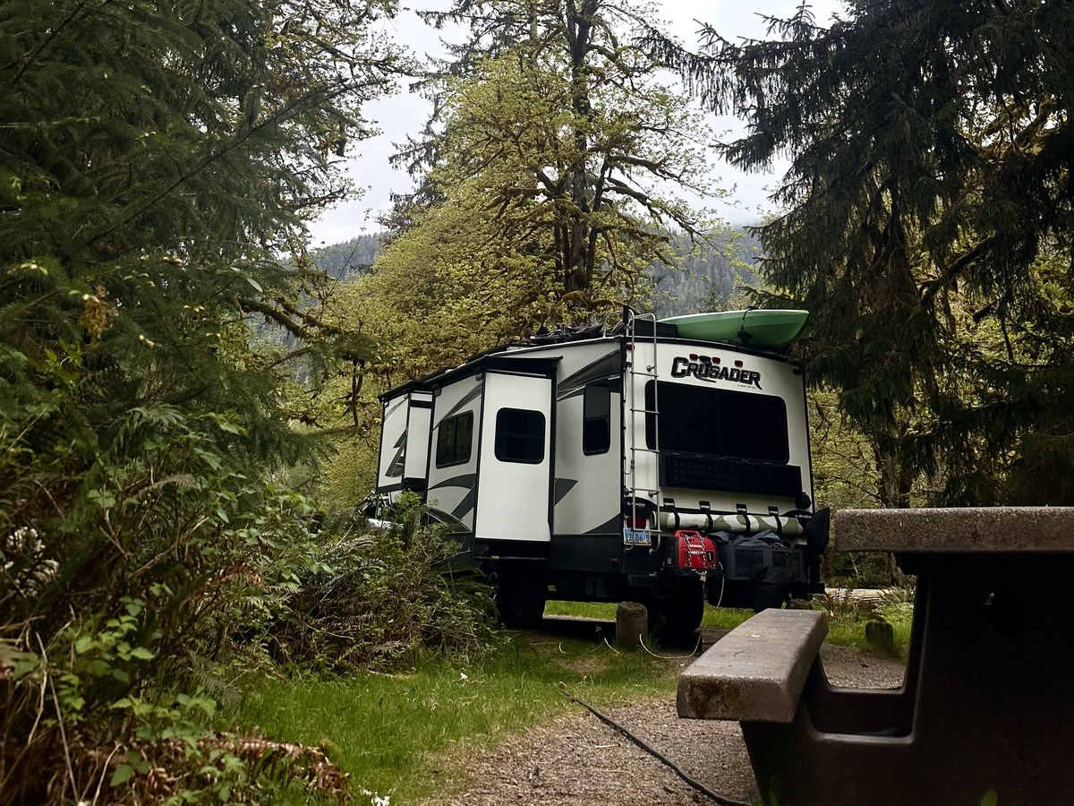 Rachel's RV parked in the Pacific Northwest forest