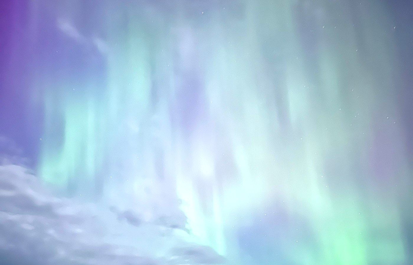Northern lights over the treeline